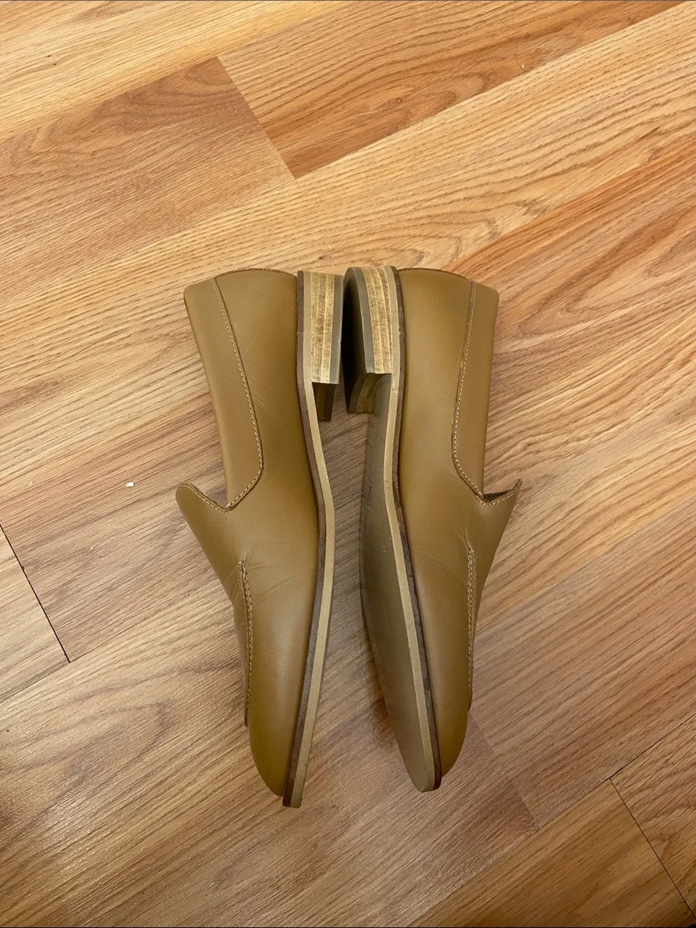 Everlane new classic